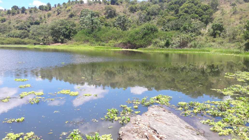 Mortandade de Peixes no Rio Pardo assusta moradores de Camacã e regiã